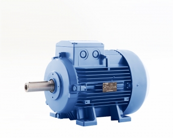 160 Tip Elektrik Motoru