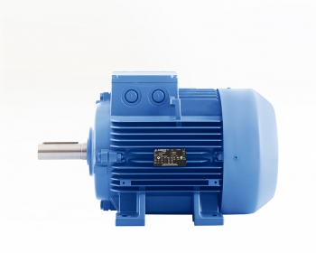 160 Tip Elektrik Motoru
